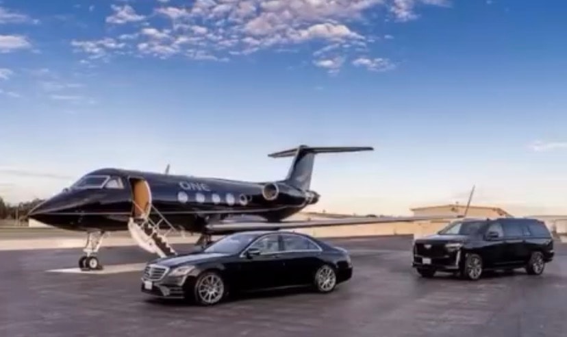 Professional chauffeur at airport